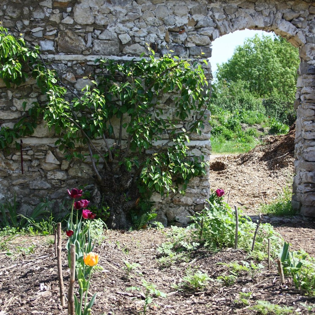 Pouplier Garden 2